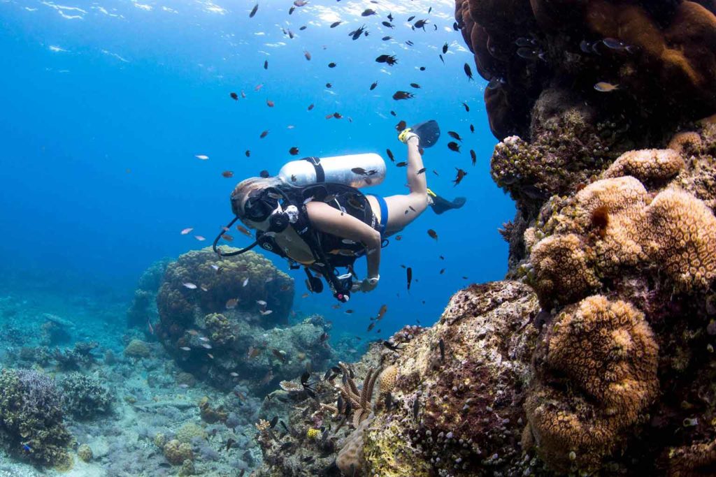 Scuba Diving at Bawah Reserve, Indonesia