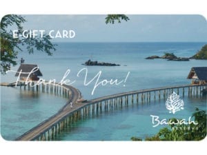 thank-you