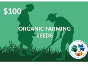 organic-farming-seeds-donation
