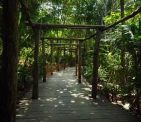 Beautiful wooden pathways at Bawah Reserve, Indonesia