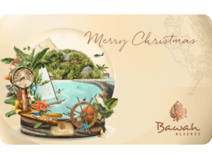 merry-christmas
