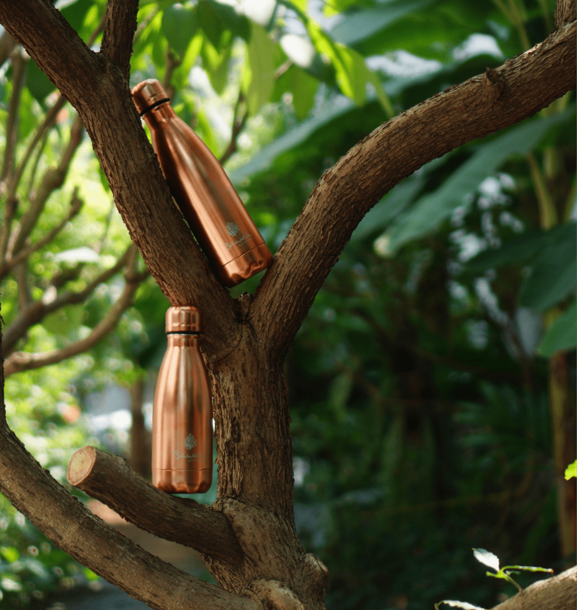 Bawah Reserve, no single use plastic, sustainable travel. Bawah drink bottles provided to all guests.