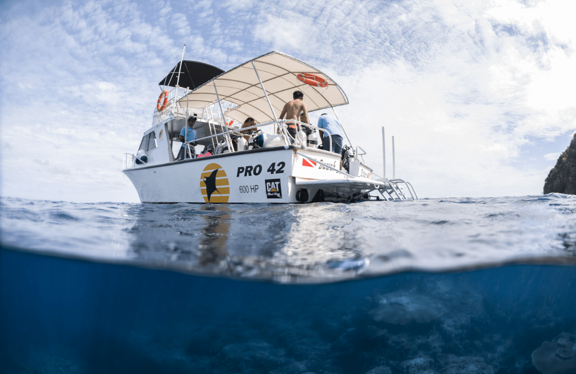 Bawah Reserve, Diving.