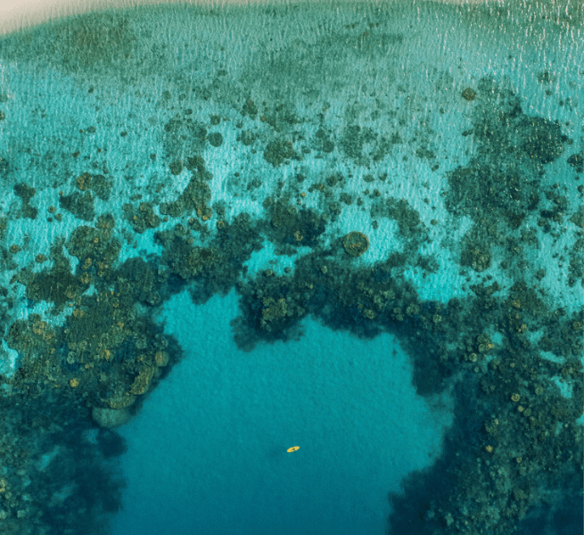 Stand up paddleboarder birdseye view on turquoise lagoon