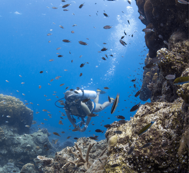 Activities at Bawah Reserve, scuba diving.
