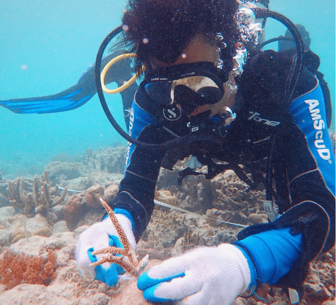 Coral restoration dive- Activities at Bawah Reserve, Indonesia.