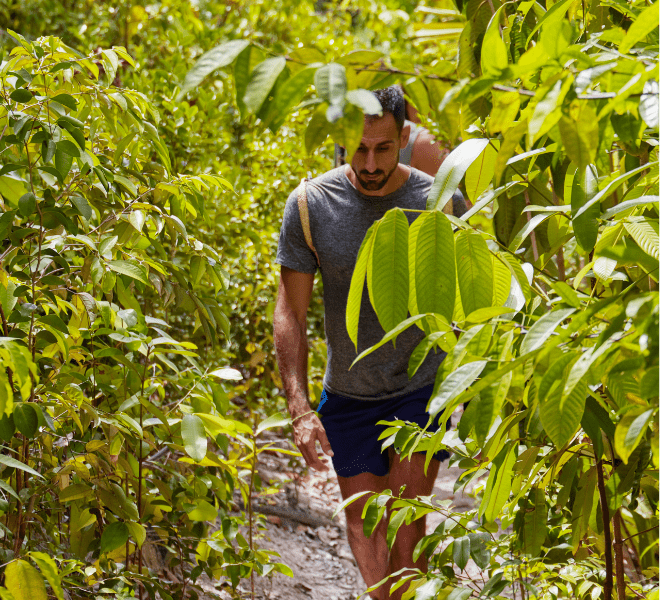 Activities at Bawah Reserve, Indonesia, jungle trek hiking.