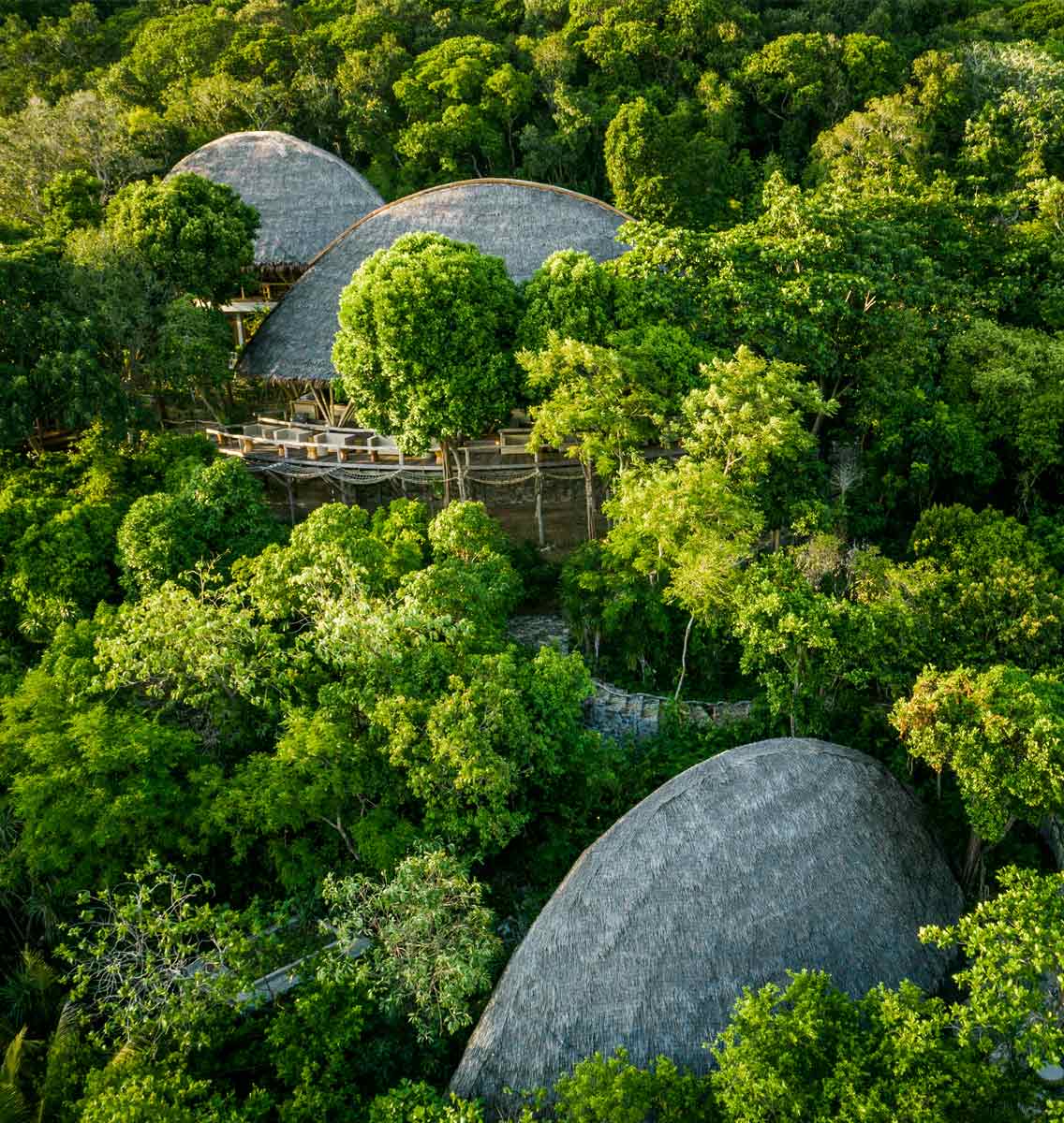 Bawah Reserve, Indonesia. Jules Verne bar, Treetops hotel restaurant and the Grouper bar amongst the trees.