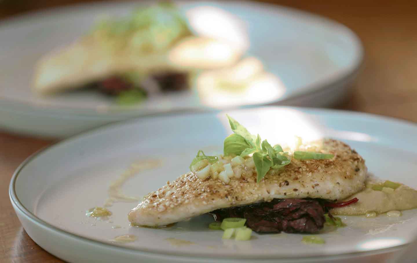 elang-grilled-fish-on-white-plate-green-garnish
