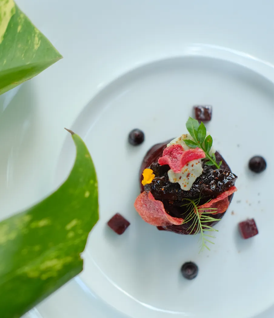 white-dinner-plate-dessert-green-leaf-tree tops
