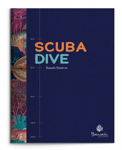SCUBA DIVING BROCHURE COVER
